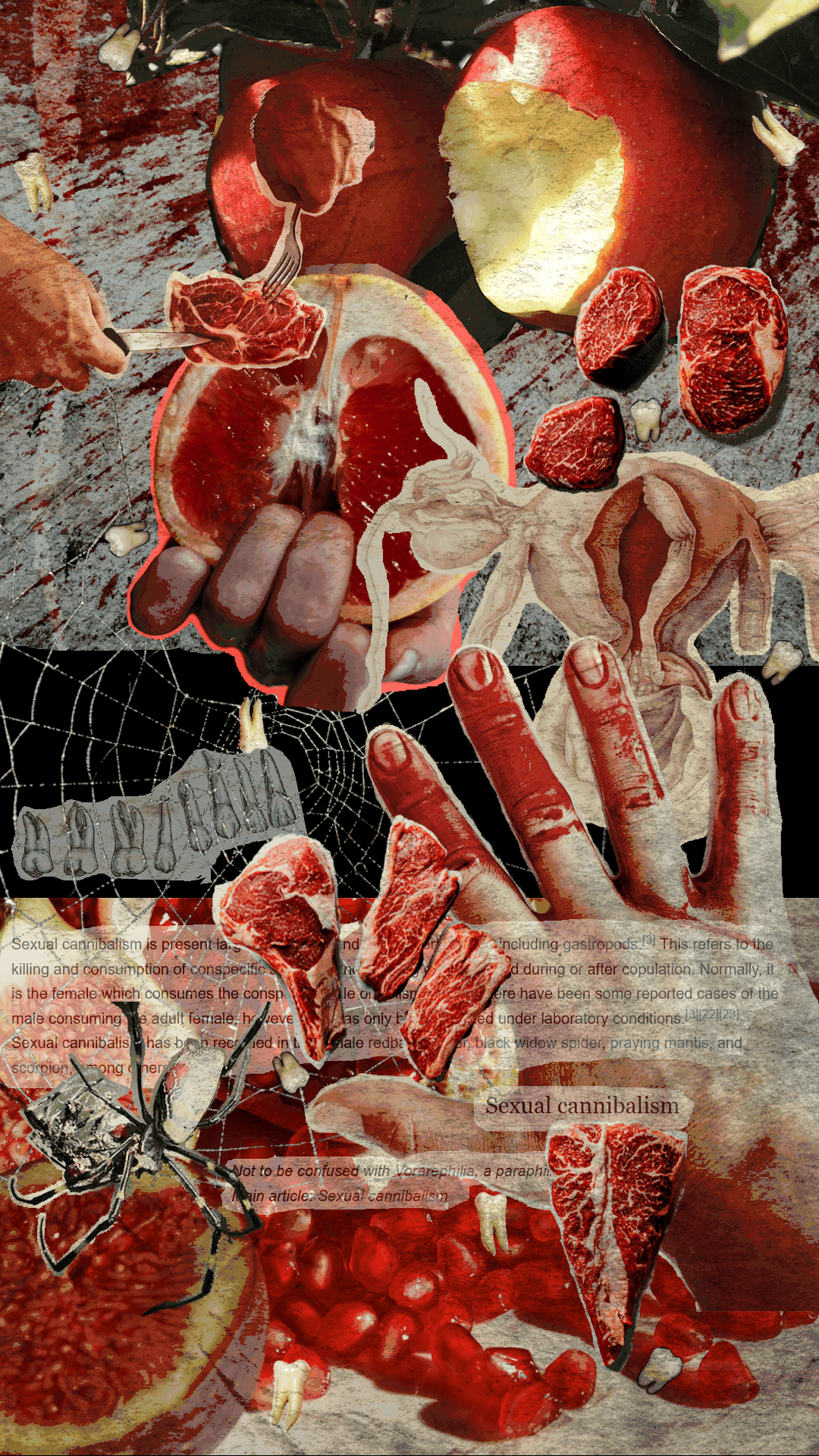 a collage of images of raw meat, red fruit, teeth, hands, surreal anatomical drawings, spiderweb, and sections of the wikipedia page for 'sexual cannibalism', including a spider cannibalising her mate. Overlayed onto the collage white, transparent text in a bold font appears one word at a time: 'There's a hole. In my gut. I need you. To fill it.'